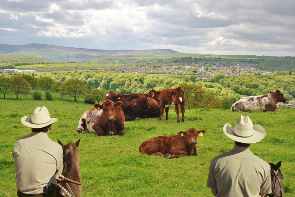 NCOM Walks Sheriff Farm HV