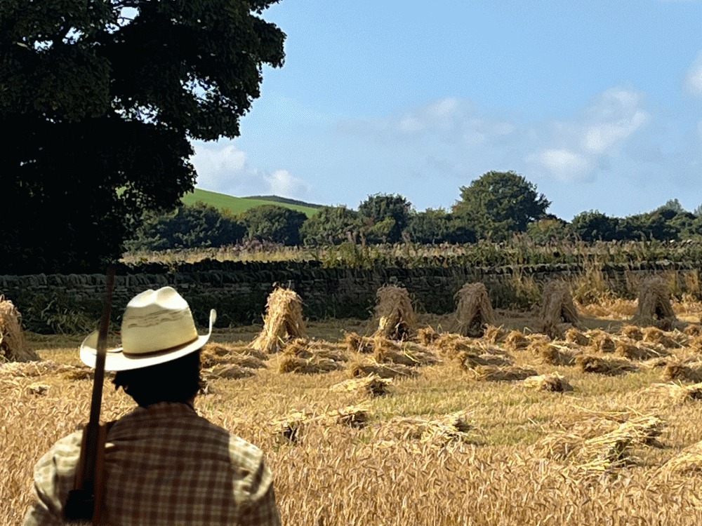 46 Goody Stooks image Walk 155 30 08